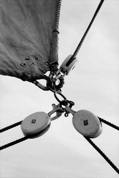 - - - Liberté - - - Freedom - - - Freiheit - - -